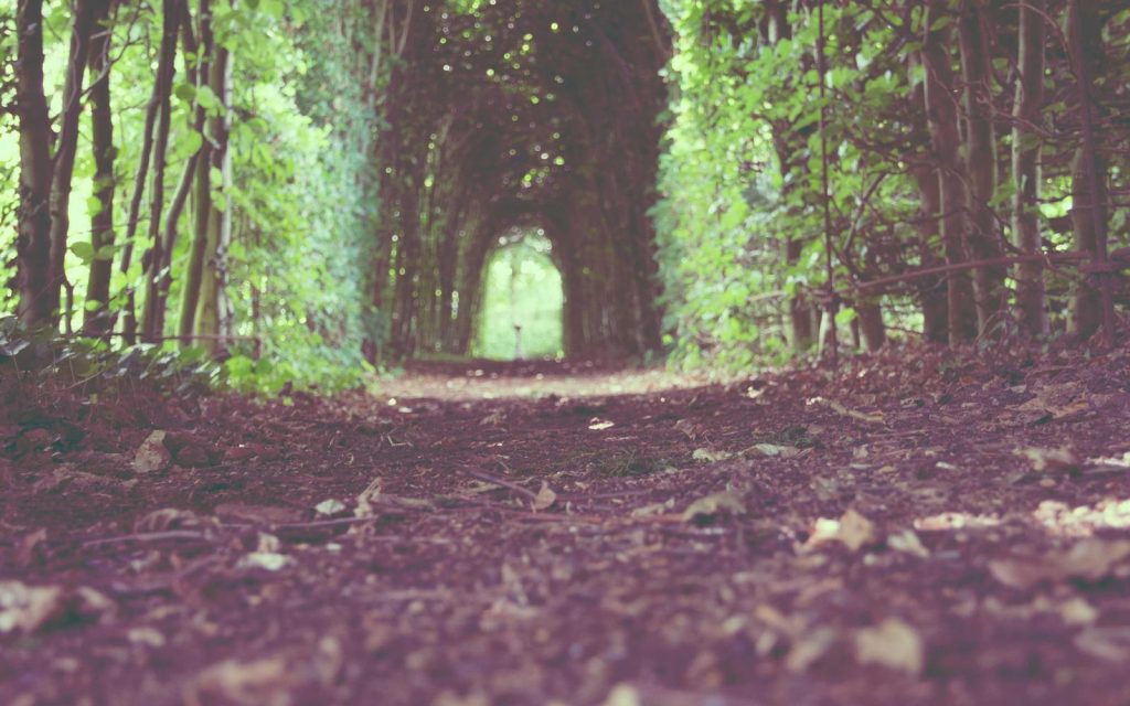 Green Tour – Fondo Turismo